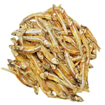 Mola Shutki